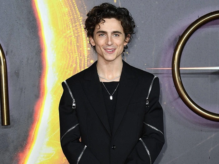 timothee chalamet net worth 2